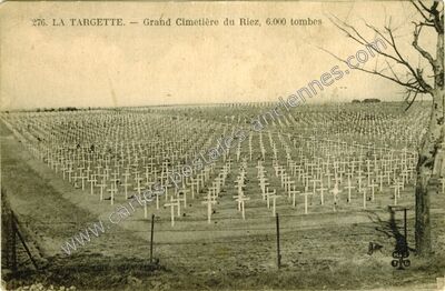 Carte postale ancienne La Targette — Neuville-Saint-Vaast (Pas-de-Calais)