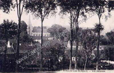 Carte postale ancienne Vue Générale — Nielles-lès-Bléquin (Pas-de-Calais)
