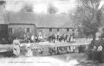 Carte postale ancienne Une brasserie — Nielles-lès-Bléquin (Pas-de-Calais)