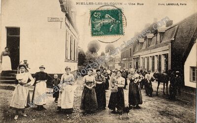 Carte postale ancienne Une Rue — Nielles-lès-Bléquin (Pas-de-Calais)