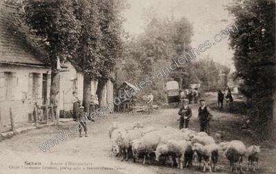 Carte postale ancienne Route d'Hucqueliers — Preures (Pas-de-Calais)