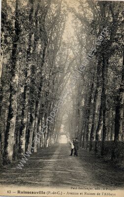 Carte postale ancienne Avenue et Ruines de l'Abbaye — Ruisseauville (Pas-de-Calais)