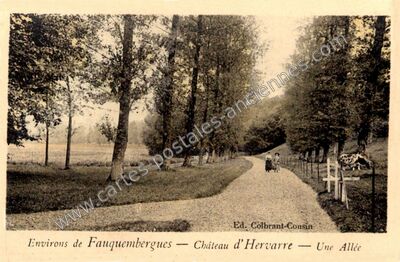 Carte postale ancienne Château d'Hervarre — Une Allée — Saint-Martin-d'Hardinghem (Pas-de-Calais)