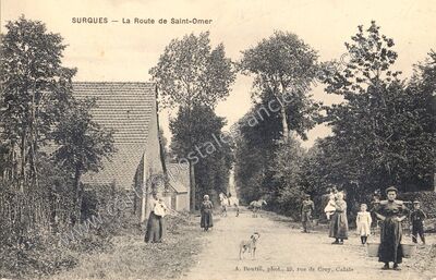 Carte postale ancienne La Route de Saint-Omer — Surques (Pas-de-Calais)