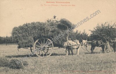 Carte postale ancienne Scenes Normandes — Non Localisée (Orne)
