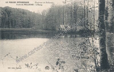 Carte postale ancienne Forêt de BELLESME - L'Étang — Bellême (Orne)