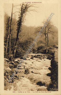 Carte postale ancienne Bois Baronnet — Saint-Pierre-du-Regard (Orne)