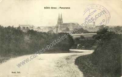 Carte postale ancienne Panorama — Sées (Orne)
