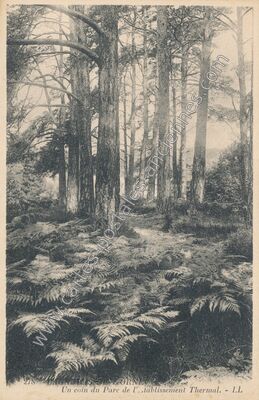 Carte postale ancienne Un coin du Parc de l'établissement Thermal — Bagnoles de l'Orne (Orne)