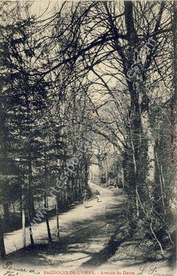 Carte postale ancienne Avenue du Dante — Bagnoles de l'Orne (Orne)