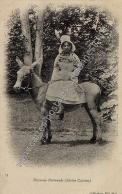 Carte postale ancienne Paysanne Normande — Non Localisée (Orne)