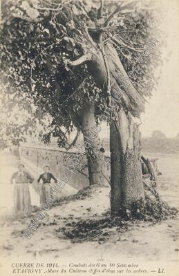 Carte postale ancienne Combats des 6 au 10 Septembre, Mare du Château, Effet d'obus sur les arbres — Étavigny (Oise)