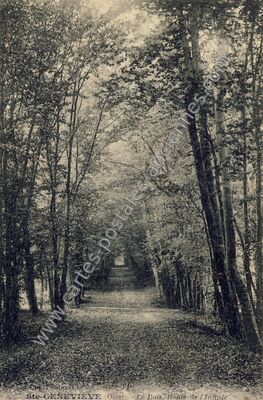 Carte postale ancienne Sainte-Geneviève