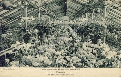 Carte postale ancienne Ets Becker — Non Localisée (Nord)