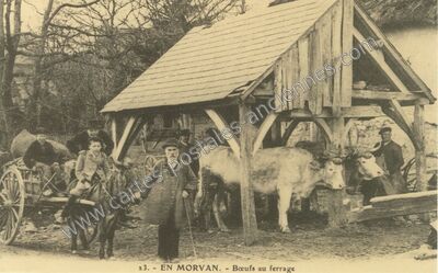 Carte postale ancienne En Morvan — Non Localisée (Nièvre)