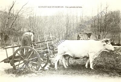 Carte postale ancienne En Morvan — Non Localisée (Nièvre)