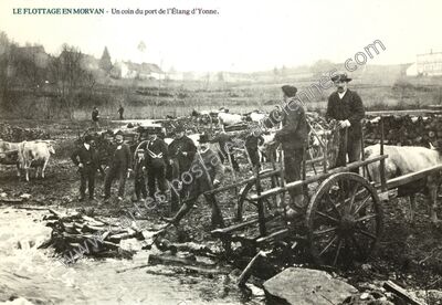 Carte postale ancienne Etang d'Yonne — Arleuf (Nièvre)