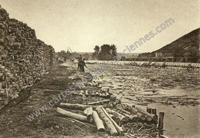 Carte postale ancienne Etang d'Yonne — Arleuf (Nièvre)