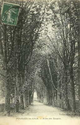 Carte postale ancienne Allée des Soupirs — Pougues-les-Eaux (Nièvre)