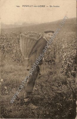 Carte postale ancienne Un hottier — Pouilly-sur-Loire (Nièvre)