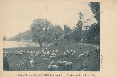 Carte postale ancienne Moutons au bord de la Loire — Fourchambault (Nièvre)