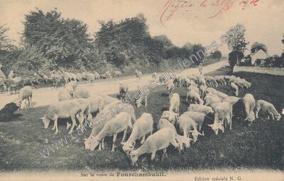 Carte postale ancienne Sur la route de Fourchambault — Fourchambault (Nièvre)