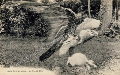 Carte postale ancienne Dans les Alpes — Non Localisée (Hautes-Alpes)