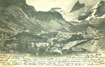 Carte postale ancienne Dans les Hautes Alpes — Non Localisée (Hautes-Alpes)