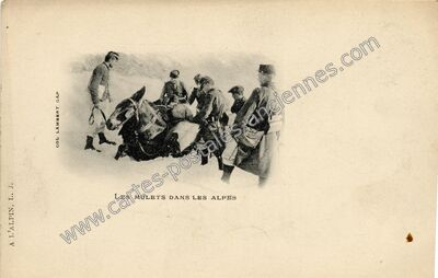Carte postale ancienne Les Alpes — Non Localisée (Hautes-Alpes)