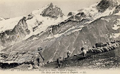 Carte postale ancienne Plateau d'Emparis — La Grave (Hautes-Alpes)