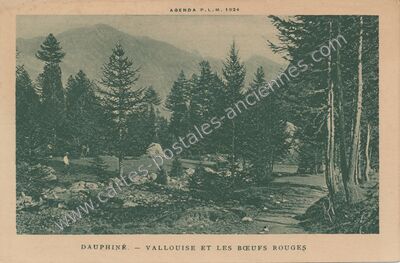 Carte postale ancienne Vallouise