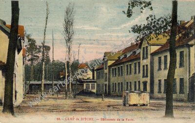 Carte postale ancienne Camp de Bitche. Bâtiments de la Forêt — Bitche (Moselle)