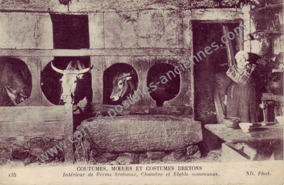 Carte postale ancienne Costumes et moeurs — Non Localisée (Morbihan)