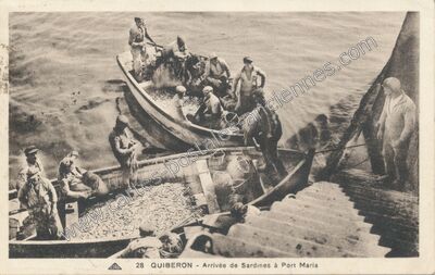 Carte postale ancienne Arrivée de Sardines à Port Maria — Quiberon (Morbihan)