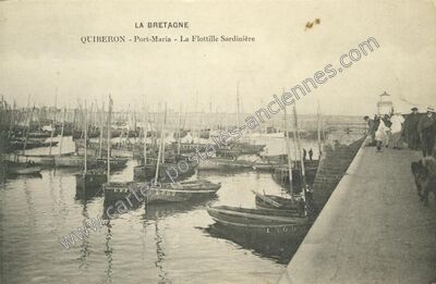 Carte postale ancienne La Flottille Sardinière — Quiberon (Morbihan)