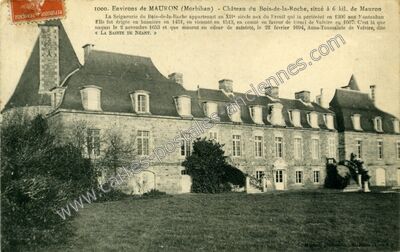 Carte postale ancienne Chateau du Bois de la Roche — Mauron (Morbihan)