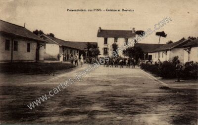Carte postale ancienne Les Pins — Non Localisée (Morbihan)