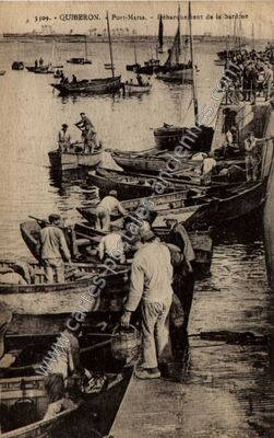 Carte postale ancienne Débarquement de la Sardine — Quiberon (Morbihan)