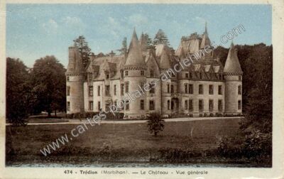 Carte postale ancienne Le Château - Vue générale — Trédion (Morbihan)