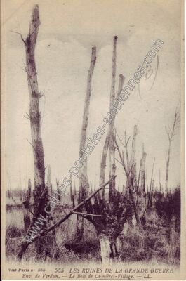 Carte postale ancienne Cumieres — Culey (Meuse)