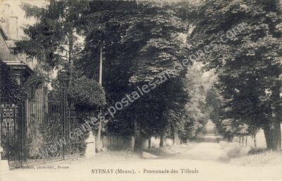 Carte postale ancienne Promenade des Tilleuls — Stenay (Meuse)