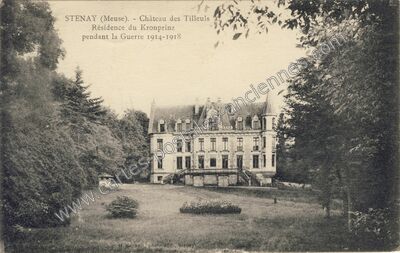 Carte postale ancienne Château des Tilleuls Résidence du Kronprinz pendant la Guerre 1914-1918 — Stenay (Meuse)