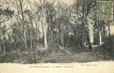 Carte postale ancienne Briey