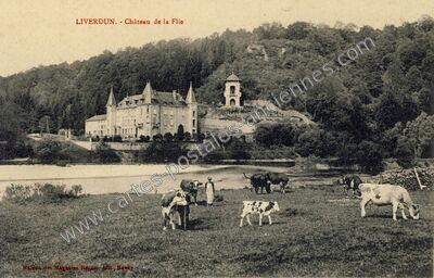 Carte postale ancienne Château de la Flie — Liverdun (Meurthe-et-Moselle)