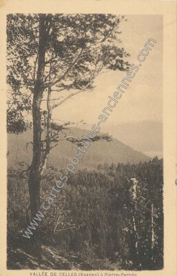 Carte postale ancienne Vallée de Celles à Pierre-Percée — Pierre-Percée (Meurthe-et-Moselle)
