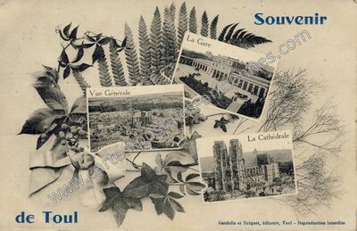 Carte postale ancienne Souvenir — Toul (Meurthe-et-Moselle)