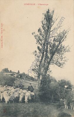 Carte postale ancienne L'Hermitage — Lunéville (Meurthe-et-Moselle)