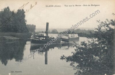 Carte postale ancienne Vue sur la Marne - Bois de Molignon — Gland (Aisne)