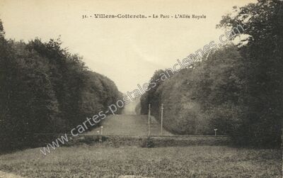 Carte postale ancienne Le Parc - L'Allée Royale — Villers-Cotterêts (Aisne)