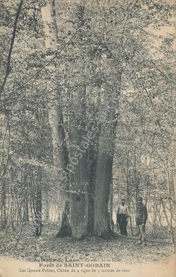 Carte postale ancienne Foret de St Gobain — Saint-Gobain (Aisne)
